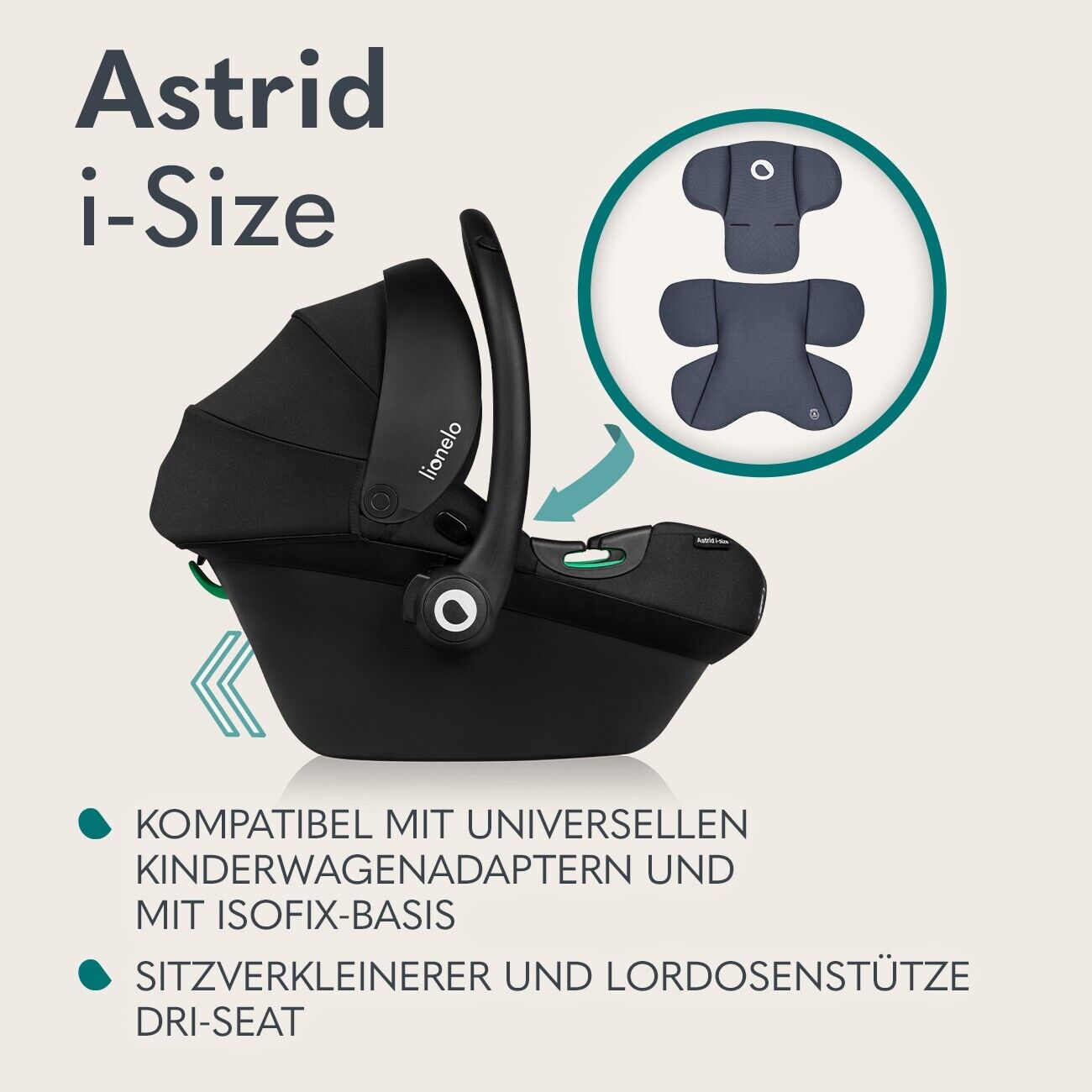 Bild 7 von 19