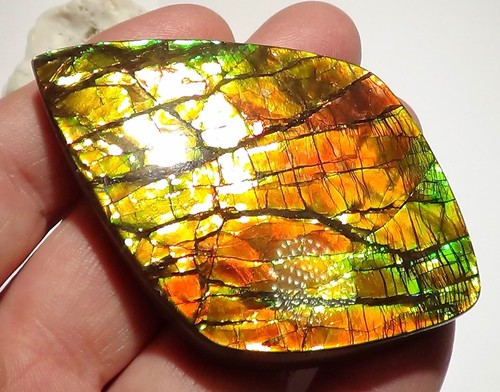 340 Carat.!! I Sammler Ammolite /Drachenschuppe Rot Grün-Golden-Orange + VIDEO - Bild 7 von 7