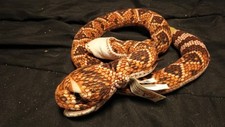 Folkmanis Diamondback Rattlesnake 9" Puppet