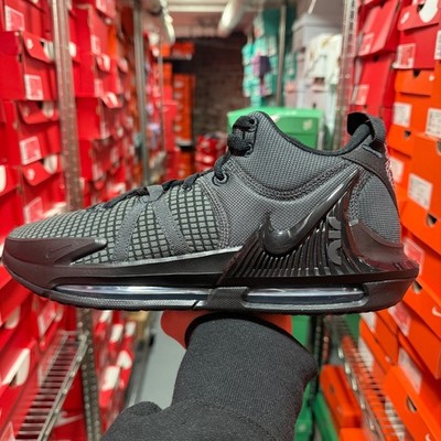 lebron 16 dicks sporting goods