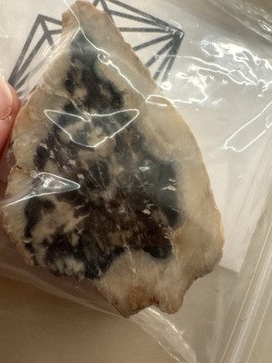 Petrified Wood Slice 2 Pieces AAA Quality