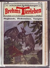 Die schönsten Schilderungen