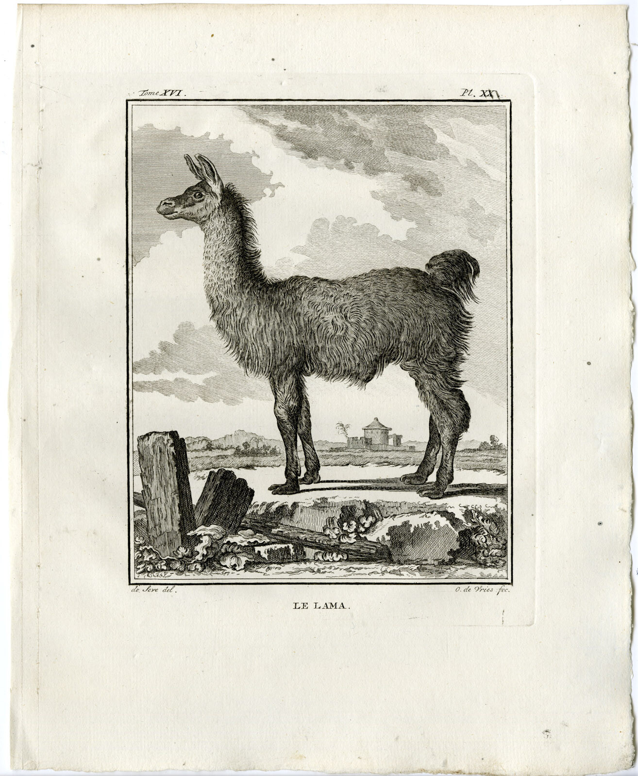 Antique Print-LLAMA-LAMA GLAMA-PL. 20-de Vries-Buffon-1785