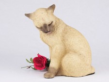 Large 168 Cubic Inches Tan Siamese Cat Resin Urn for Cremation Ashes