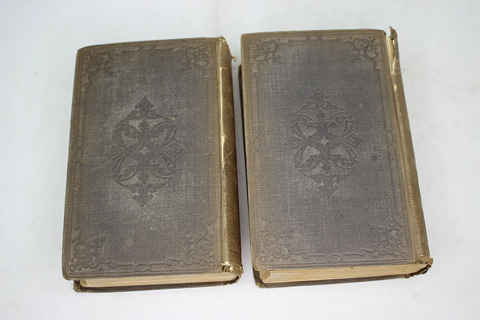 THE WORKS OF SAINT-PIERRE by Rev. E. Clarke, 1846, 2 vols Illustrated London - Image 3 of 4
