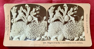 1904 B. W. Kilburn James M. Davis 15946 Daughter Of The Sea Australia Stereoview