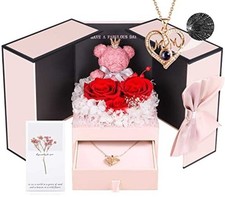 Preserved Real Roses with I Love You in 100 I Love U Mom Necklace Red Roses
