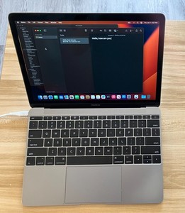 12in MacBook 2017 | eBay