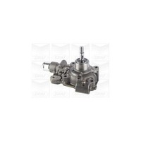 Wasserpumpe MotorküHlung Graf PA913 FüR Iveco Renault Trucks
