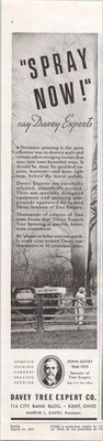 Davey Tree Expert Co. 1937 Vintage Print Ad Spray Now Dormant Spraying
