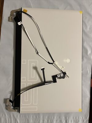 Dell Alienware Area 51m R2 17.3'' FHD LCD Screen  Assembly 15G5P 562NF  h1 L3 L6