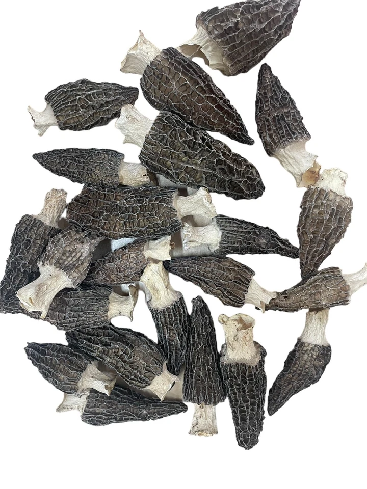 WILD Morel Mushrooms, Whole (Dried) - 4oz - Image 2 of 3