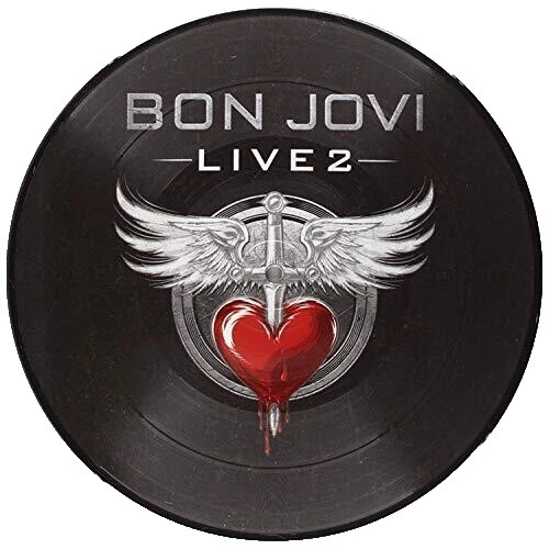Bon Jovi Rock Single Vinyl Records