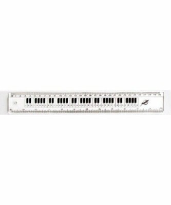 15cm 30cm Music Notes Piano Keyboard Ruler Student Teacher Musician Gift Ebay