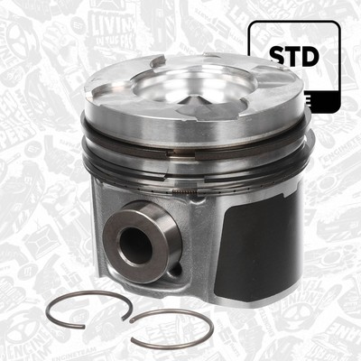 Kolben für NISSAN OPEL VAUXHALL 2,5 4418621 4418622 93194559 93194564 7701478481