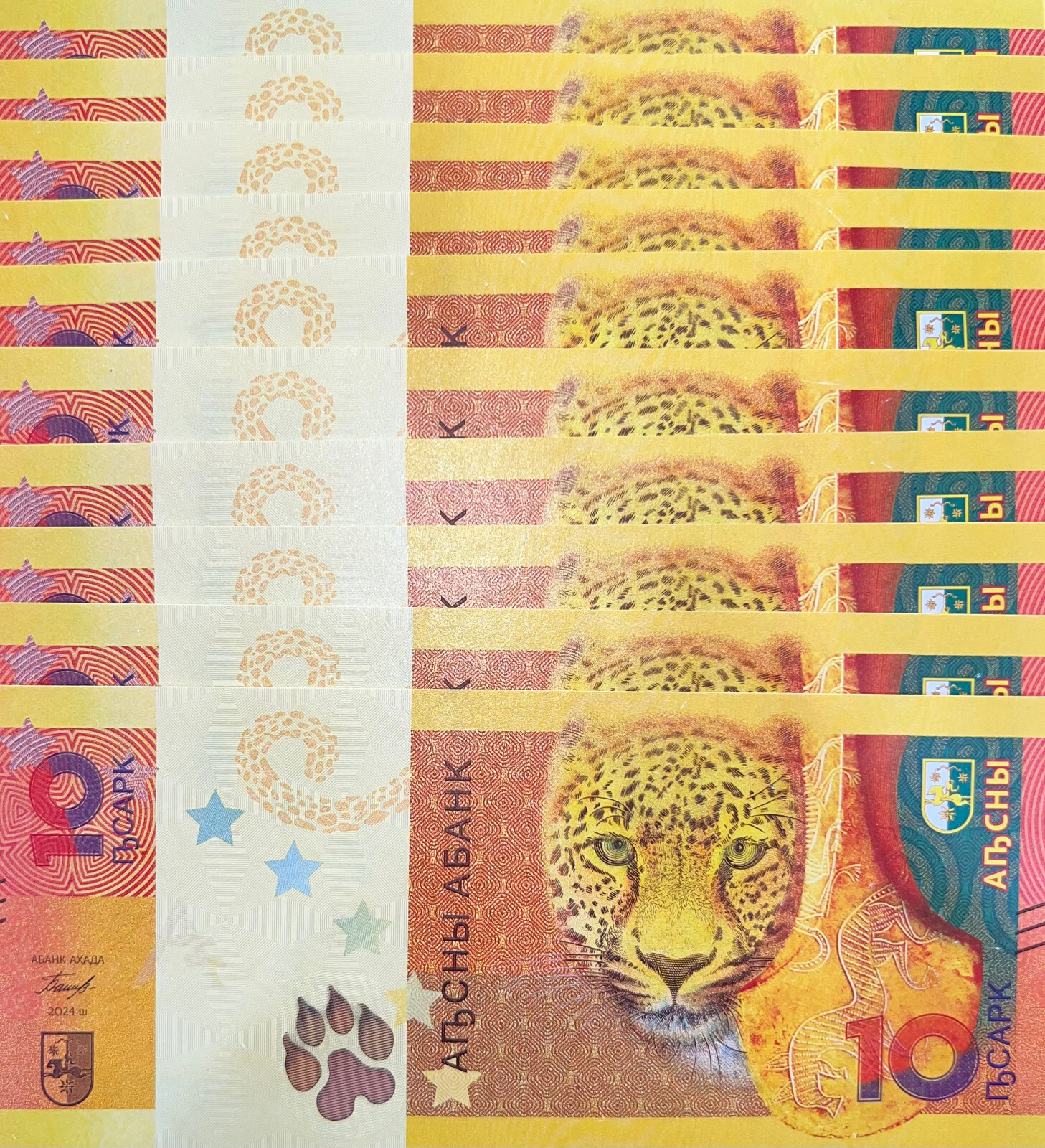 25x 10 New Abkhazia Apsar Banknotes   P-New UNC Leopard  Authentic 2024 Currency
