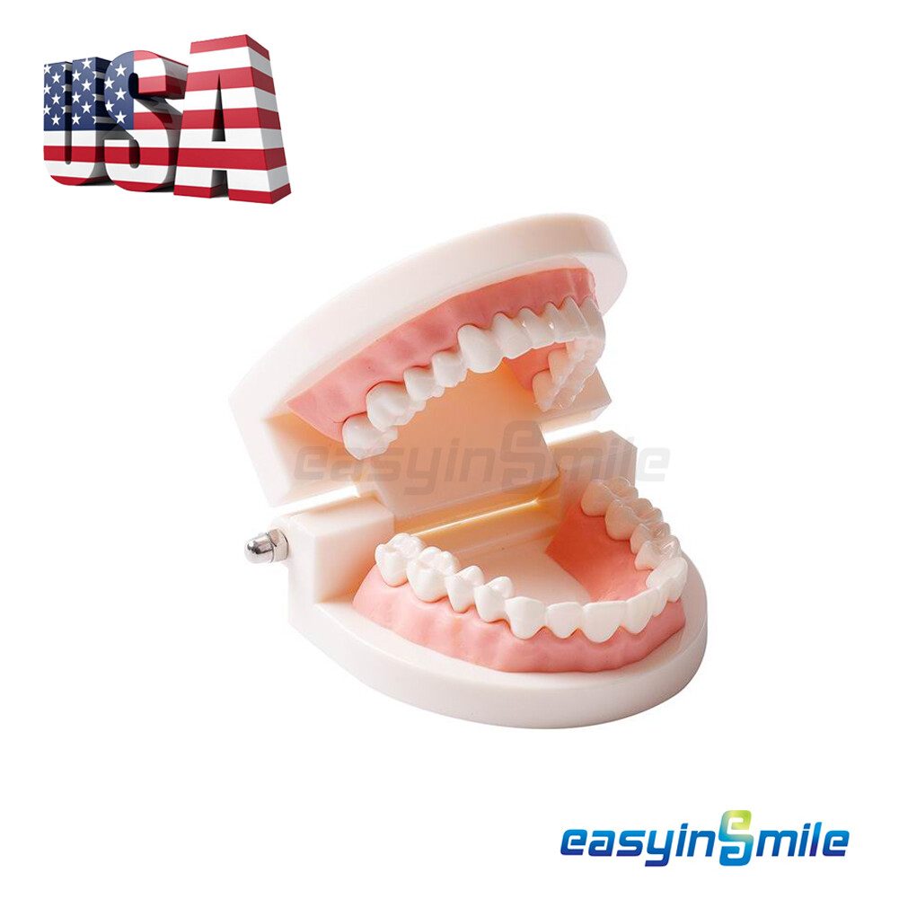 Qualità E Competenze Di Un Dentista Esperto In Bambini - Dentista Per - Foto 6