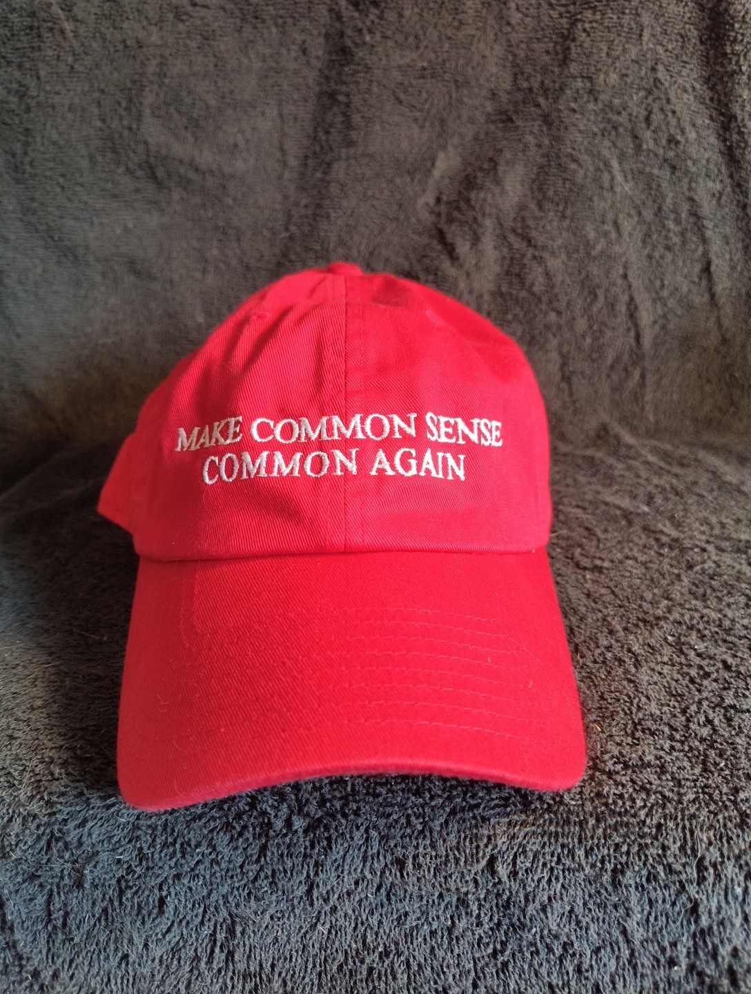 Trump Make Common Sense Common Again MAGA Red Hat Cap