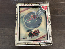 Minnesota Wild Collecting and Fan Guide 8