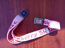Strawberry Shortcake Vintage Childs Elastic belt buckle
