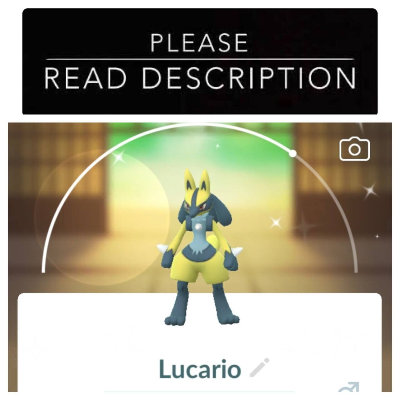 SHINY ✨ LUCARIO!!! ✨ - PKMN GO!!! - NON REGISTERED!!! Read Description