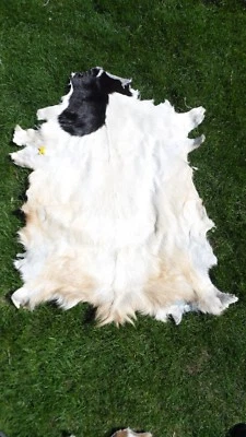 Ziegenfell * Goatskin Leather * Ziege * Teppich * Läufer * Kamin Deko - Bild 1 von 4