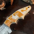 8.9" Hunting EDC Damascus Knife Handmade Full Tang Resin Handle Leather Sheath — photo 9