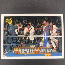 1990 Classic WWF #139 Rhythm  Blues   