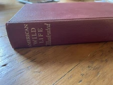 American Wild Life Illustrated Hard Cover Wise & Co Vintage Book