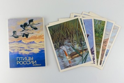 Vintage USSR Postcards ''Birds of Russia. Baikal'' Full set 16 p Issue 3, 1986