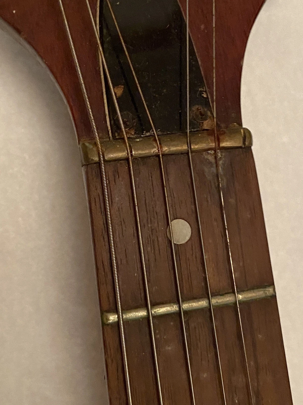 Picture 5 of 19