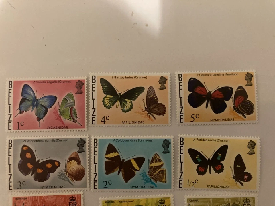 1973-1974 Set of 12 Butterfly and Fish Stamps From Belize MNH — 第 3/4 张图片