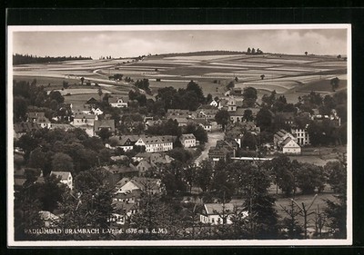 Brambach i. V., Totalansicht, Ansichtskarte 