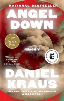 Angel Down (Pulitzer Prize Winner) A Novel