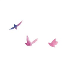Jattoo Temporary Tattoo Birds Soar A Sky Dream - 6 9.5cm Christmas Gift