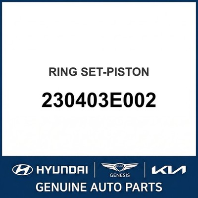 2006-2011 Kia Optima Ringsatz - Kolben OEM Neu 230403E002