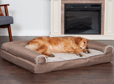 Furhaven Orthopedic Dog Bolster Bed, Medium 30 x 20" Couch Remove Washable Cover