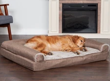 Furhaven Orthopedic Dog Bolster Bed, Medium 30 x 20" Couch Remove Washable Cover