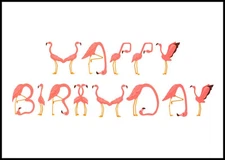 Greeting Card - Bird Flamingo - Birthday - 0057