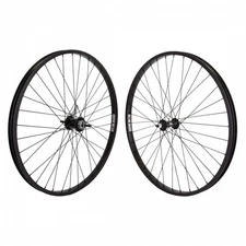 Wheel Master 26in WEI AS7X Wheelset B/O 3/8x100-110mm 36H Coaster Brake Black