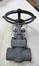 💥NEW WARREN 2" CARBON STEEL GATE GLOBE VALVE 800 LB 1975 PSI A105N 851-S