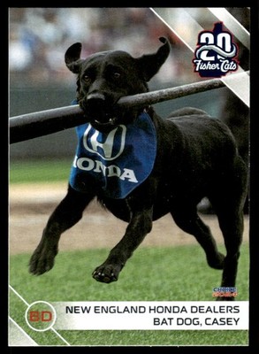 2024 Casey Mascot Choice Minor League Rookie RC New Hampshire Fisher Cats