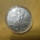 2025 (P) $1 American Silver Eagle Eagle  1 oz .999 Fine Silver BU