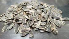 Roasted salted Sunflower Seeds