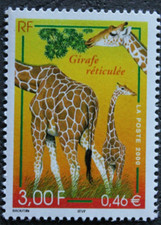 Timbre - FRANCE - Girafe réticulée - 2000 - Neuf ** - YT3333