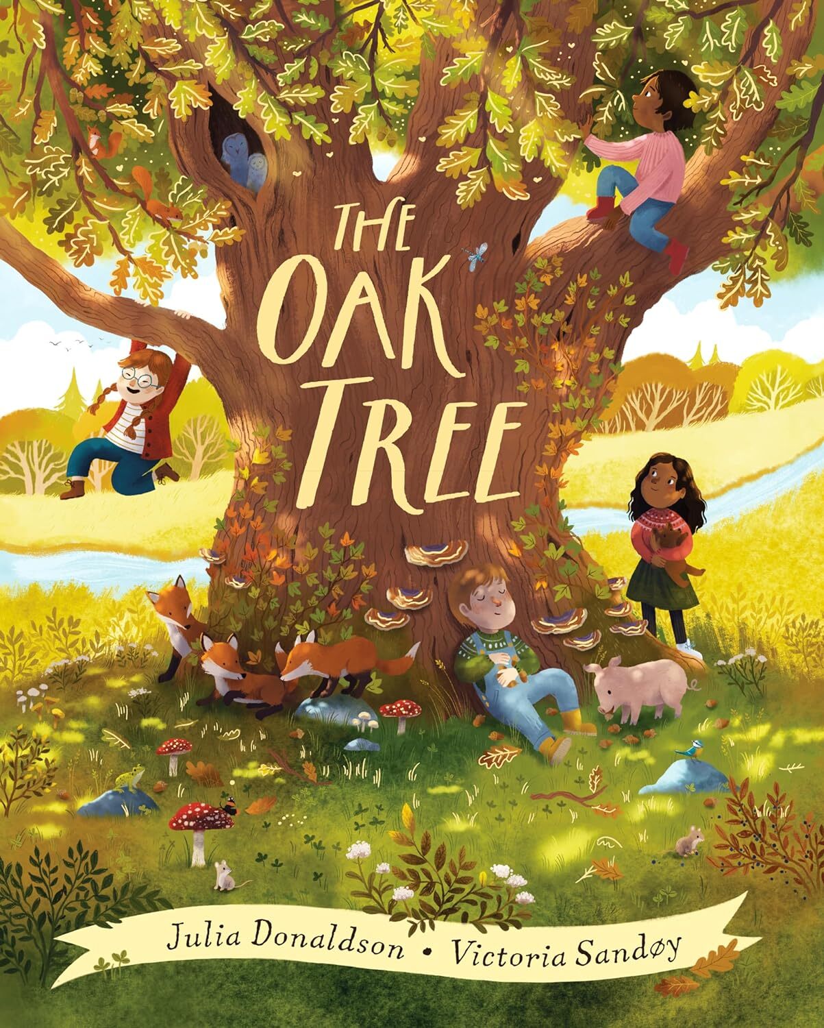 9780702324345 The Oak Tree - Julia Donaldson,Victoria Sandøy
