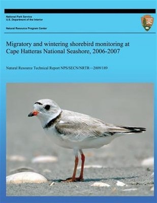 Migratory and Wintering Shorebird Monitoring at Cape Hatteras National Seasho...