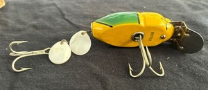 Creek chub Beetle for sale | eBay