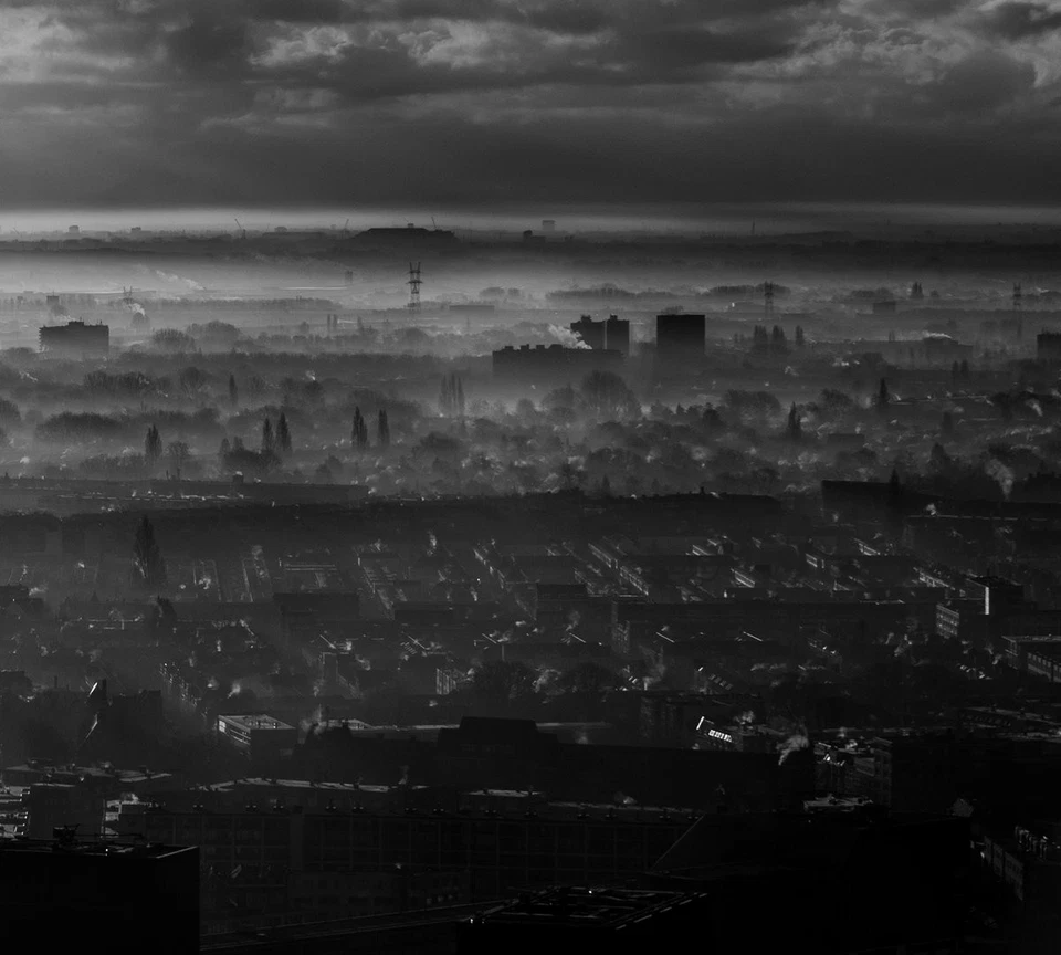 Wesenwille I: Wesenwille & Live at Roadburn (CD) Album Digipak - Photo 1/1
