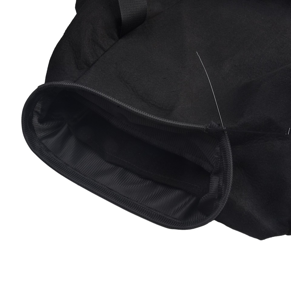 Come Si Riconosce Il Gatto Selvatico - Foto 6